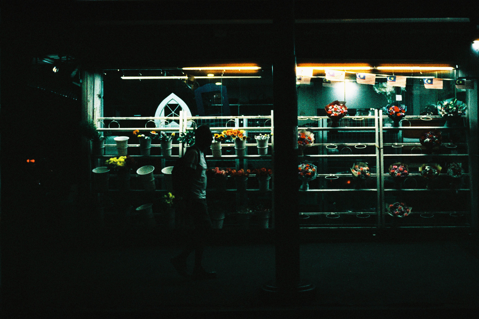 Harman Phoenix 200 Film Low Light
