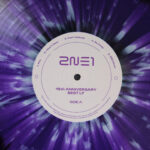2NE1 Vinyl 15th Anniversary Best LP Review