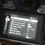 Fujifilm Film Simulations For Videos
