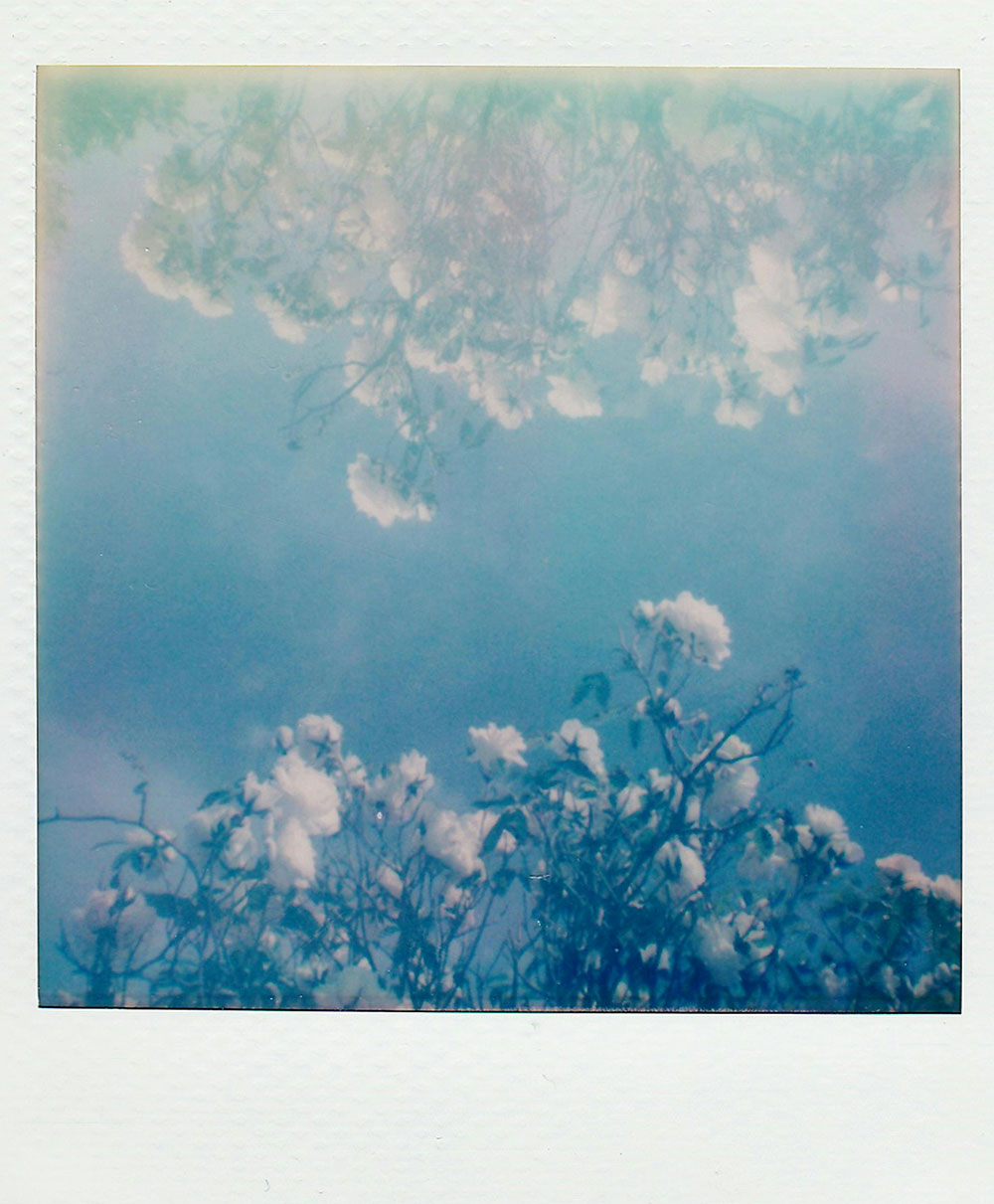 Polaroid Film Color Sample